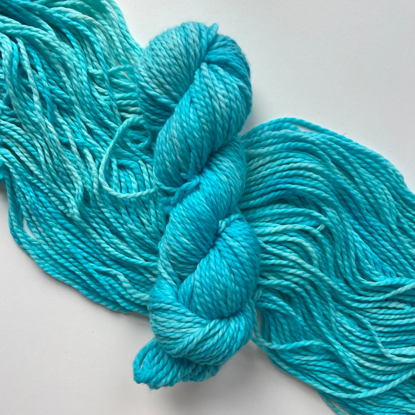 Summer Camp Fibers Hand Dyed Bulky Yarn - Birding in Bikinis