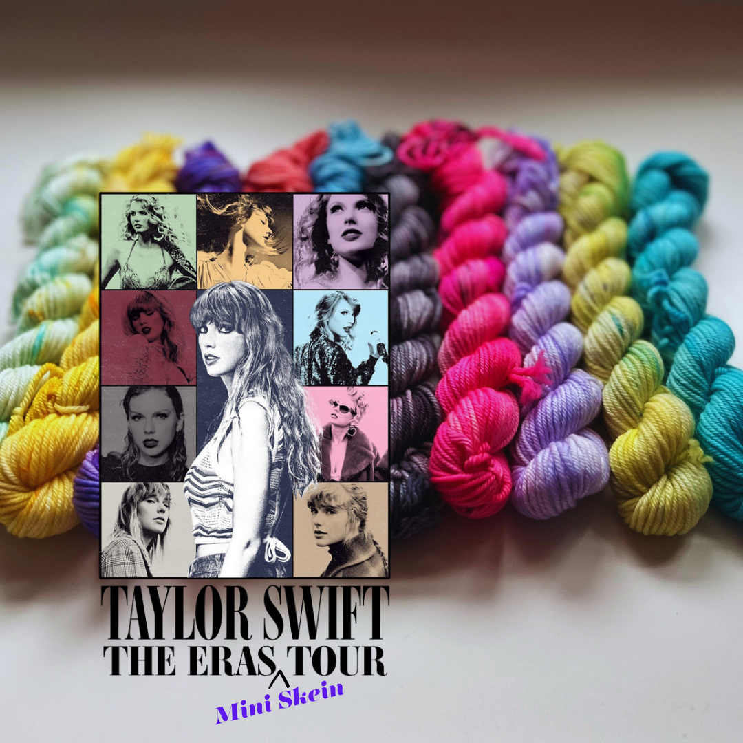 Taylor Swift Eras Tour Inspired Mini Set