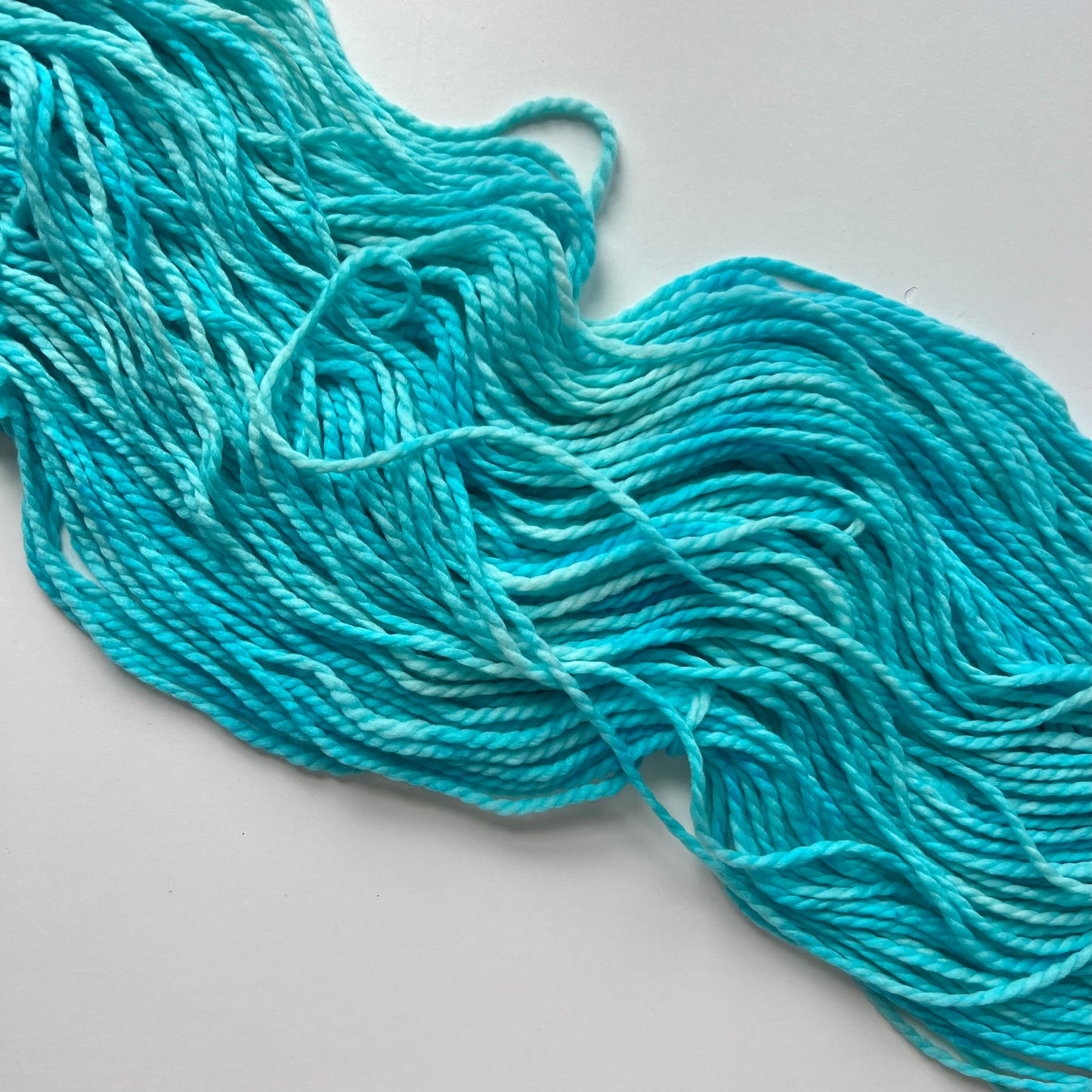 Summer Camp Fibers Hand Dyed Bulky Yarn - Birding in Bikinis