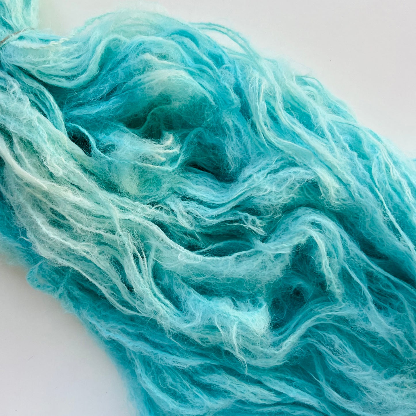Summer Camp Fibers Dream Big Suri - DK Suri Hand Dyed Yarn - Birding in Bikinis