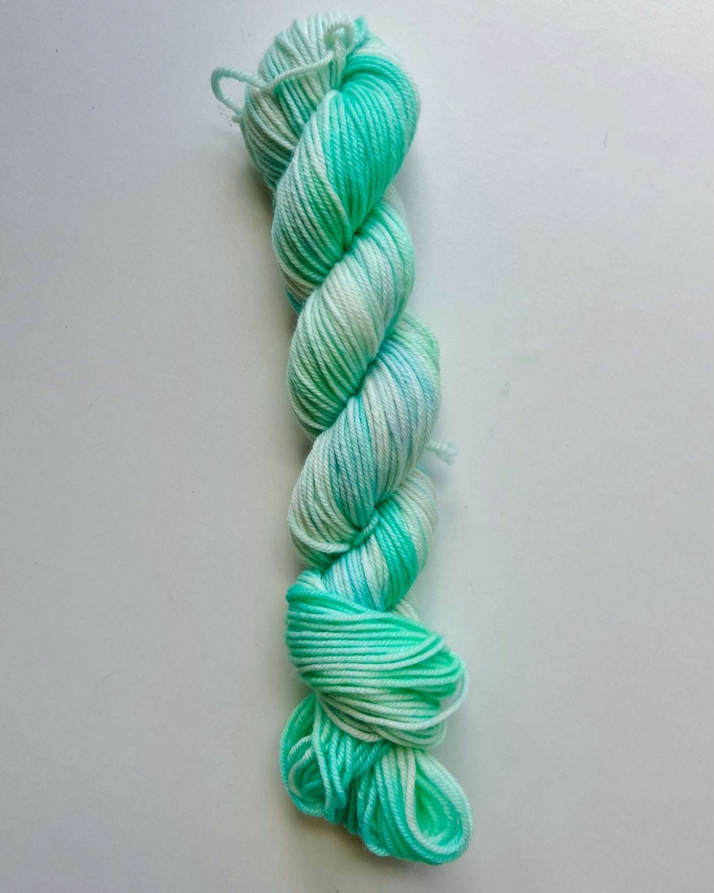 Summer Camp Fibers Marshmallow Hand Dyed Worsted Yarn - 50g of Fun!