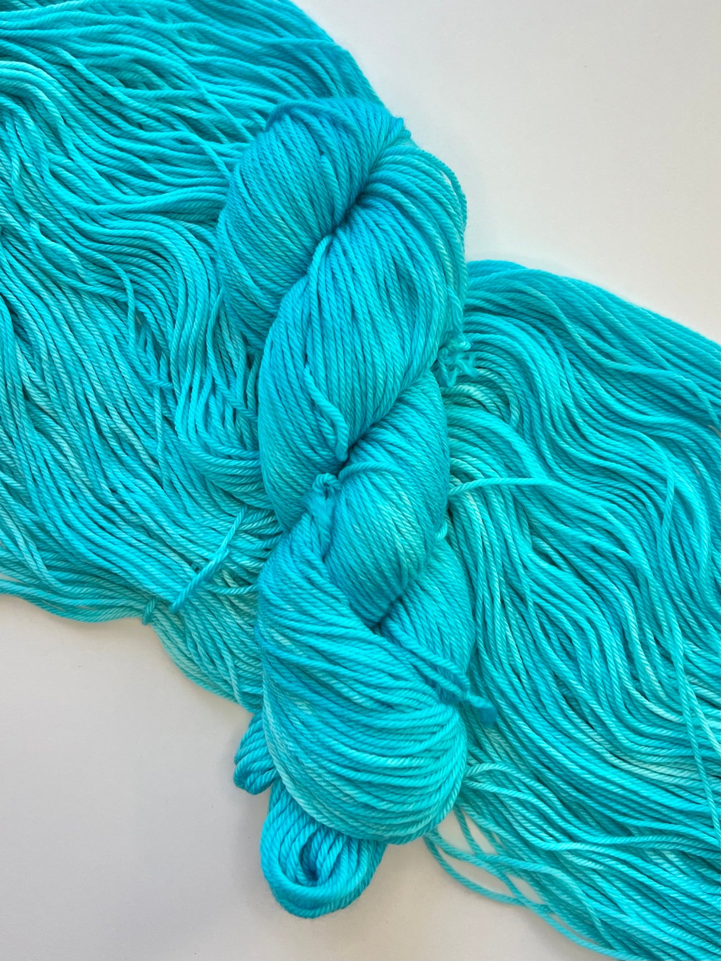 Summer Camp Fibers Marshmallow Hand Dyed Worsted Yarn - Birding in Bikinis