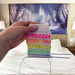 Friends Forever -  Summer Sock Knitting Project Kit