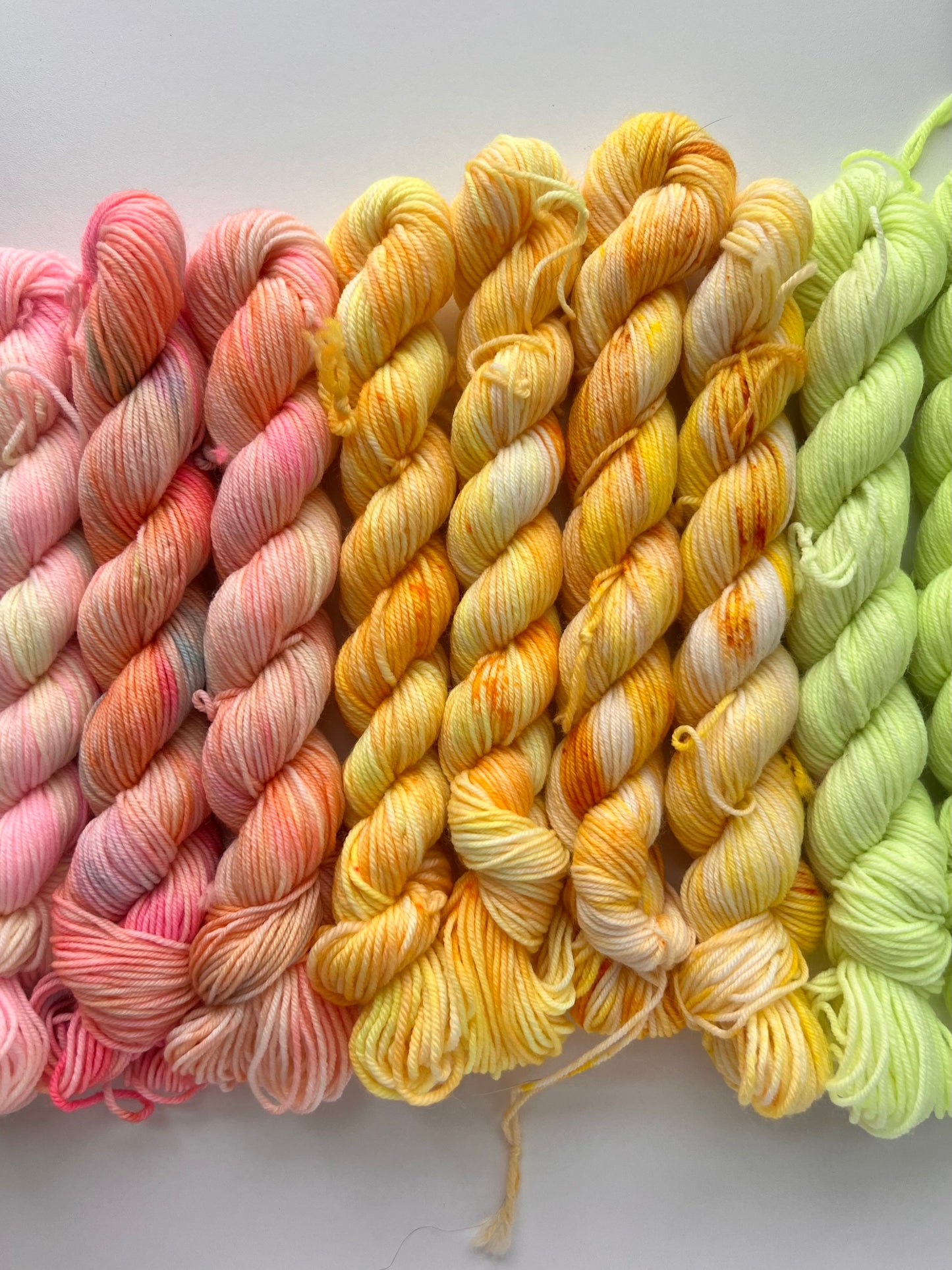 Mini Bar - Camp Sock