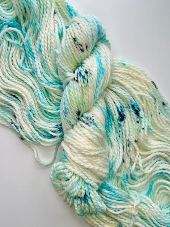 Summer Camp Fibers Hand Dyed Bulky Yarn - What's Up Bro?