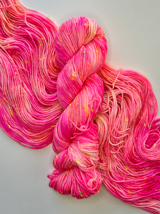 Summer Camp Fibers Confetti Hand Dyed DK Yarn - Adventure Alley