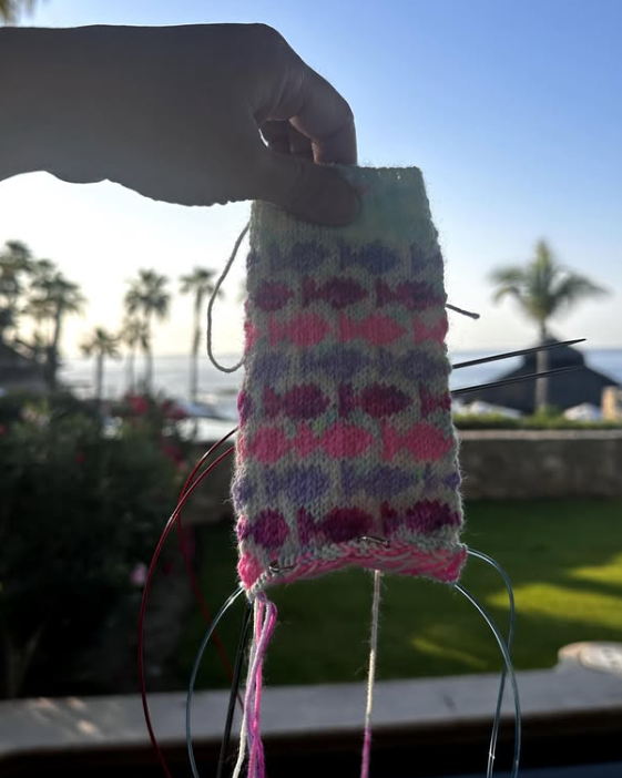 Go Fish Socks -  Summer Sock Knitting Project Kit