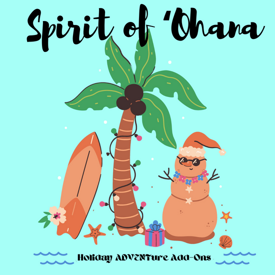 Summer Camp Fibers Spirit of 'Ohana Holiday ADVENTure Box - ADD ON